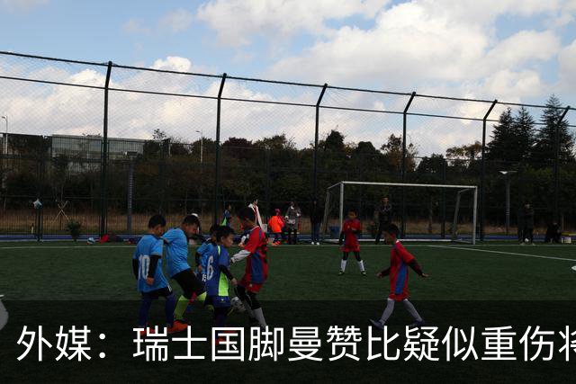 外媒：瑞士国脚曼赞比疑似重伤将缺战哥伦比亚，球队遭遇伤病危机